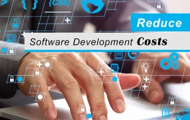 Reduce Software Development Costs