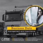 Business Data Management